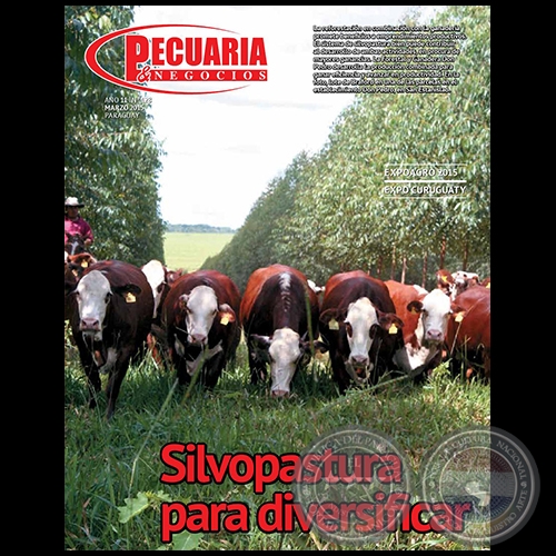 PECUARIA & NEGOCIOS - AO 11 NMERO 128 - REVISTA MARZO 2015 - PARAGUAY