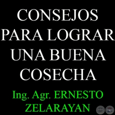CONSEJOS PARA LOGRAR UNA BUENA COSECHA - Ing. Agr. ERNESTO ZELARAYAN