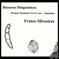 FRUTOS SILVESTRES - RECURSOS FITOGENTICOS, 1997 - NLIDA SORIA REY 