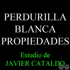 PERDURILLA BLANCA - PROPIEDADES - Estudio de JAVIER CATALDO