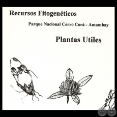 PLANTAS TILES - RECURSOS FITOGENTICOS, 1997 - NLIDA SORIA REY 