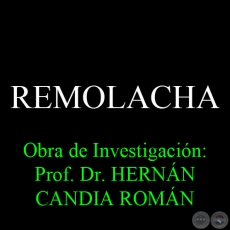 REMOLACHA - Obra de Investigacin: Prof. Dr. HERNN CANDIA ROMN