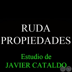 RUDA - PROPIEDADES - Estudio de JAVIER CATALDO