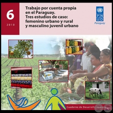 TRABAJO POR CUENTA PROPIA EN EL PARAGUAY - Cuaderno de Desarrollo Humano 6 - 2010