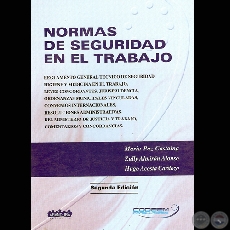 NORMAS DE SEGURIDAD EN EL TRABAJO, 2005 (2 Edicin) - Por MARIO PAZ CASTAING, ZULLY ALMIRN ALONSO y HUGO ACOSTA CARDOZO