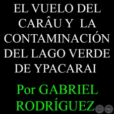 EL VUELO DEL CARU Y LA CONTAMINACIN DEL LAGO VERDE DE YPACARAI - Por GABRIEL RODRGUEZ