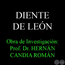DIENTE DE LEN - Obra de Investigacin: Prof. Dr. HERNN CANDIA ROMN