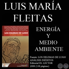 ENERGA Y MEDIO AMBIENTE - LUIS MARIA FLEITAS VEGA