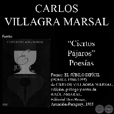 CIERTOS PJAROS - Poesas de CARLOS VILLAGRA MARSAL