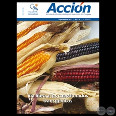 ACCIN N 328 - Revista de reflexin y dilogo de los Jesuitas del Paraguay