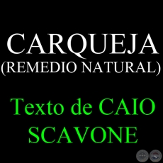 CARQUEJA (REMEDIO NATURAL) - Texto de CAIO SCAVONE