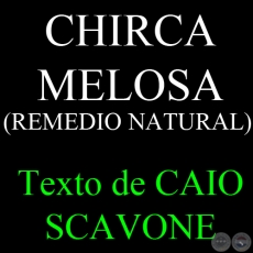 CHIRCA MELOSA (REMEDIO NATURAL) - Texto de CAIO SCAVONE