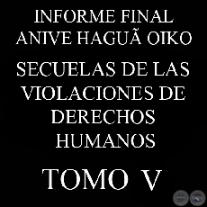 SECUELAS DE LAS VIOLACIONES DE DERECHOS HUMANOS - INFORME FINAL - TOMO 5 - COMISIN DE VERDAD Y JUSTICIA, PARAGUAY