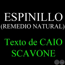 ESPINILLO ( REMEDIO NATURAL) - Texto de CAIO SCAVONE