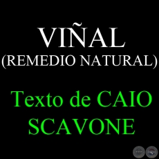 VIAL (REMEDIO NATURAL) - Texto de CAIO SCAVONE