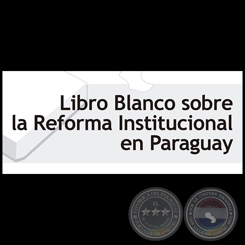 LIBRO BLANCO SOBRE LA REFORMA INSTITUCIONAL EN PARAGUAY - Febrero 2003