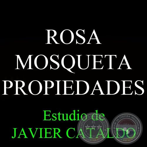 ROSA MOSQUETA - PROPIEDADES - Estudio de JAVIER CATALDO