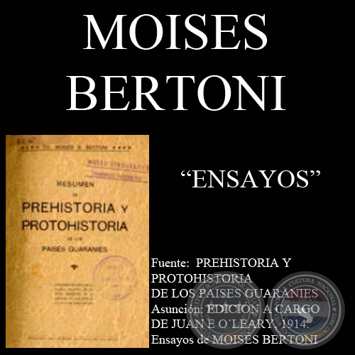 ENSAYOS - PREHISTORIA Y PROTOHISTORIA DE LOS PAISES GUARANES (Por MOISS BERTONI)