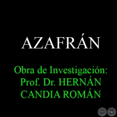 AZAFRN - Obra de Investigacin: Prof. Dr. HERNN CANDIA ROMN