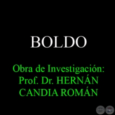 BOLDO - Obra de Investigacin: Prof. Dr. HERNN CANDIA ROMN