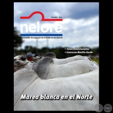 NELORE Revista - ANUARIO 2013 - Diciembre 2013