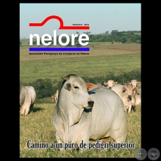 NELORE Revista - Setiembre 2013