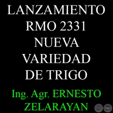 NUEVA VARIEDAD DE TRIGO (RMO 2331) DE EXCELENTE POTENCIAL DE RENDIMIENTO - Ing. Agr. ERNESTO ZELARAYAN 