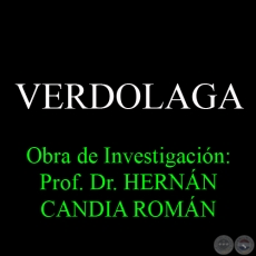 VERDOLAGA - Obra de Investigacin: Prof. Dr. HERNN CANDIA ROMN