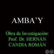 AMBAʼY - Obra de Investigacin: Prof. Dr. HERNN CANDIA ROMN