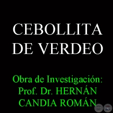 CEBOLLITA DE VERDEO - Obra de Investigacin: Prof. Dr. HERNN CANDIA ROMN