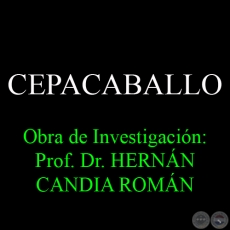 CEPACABALLO - Obra de Investigacin: Prof. Dr. HERNN CANDIA ROMN