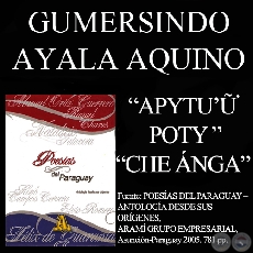 APYTUŨ POTY y CHE NGA... Poesas de GUMERSINDO AYALA AQUINO