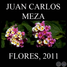 FLORES DE LA PRIMAVERA 2011 - Fotos panormicas de JUAN CARLOS MEZA