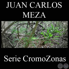 SERIE CROMOZONAS (Fotografas de JUAN CARLOS MEZA)