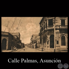 CALLE PALMAS - ASUNCIN - Editor: Guillermo de Grter - TARJETA POSTAL DEL PARAGUAY